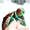 S97bcf80d1dc24da58267a3c8f980323cw.webp 3D Printed Parrot Toy – Flexible Articulated Bird with Moveable Joints
